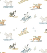 Ski Pups Boy Pima Cotton Baby Blanket