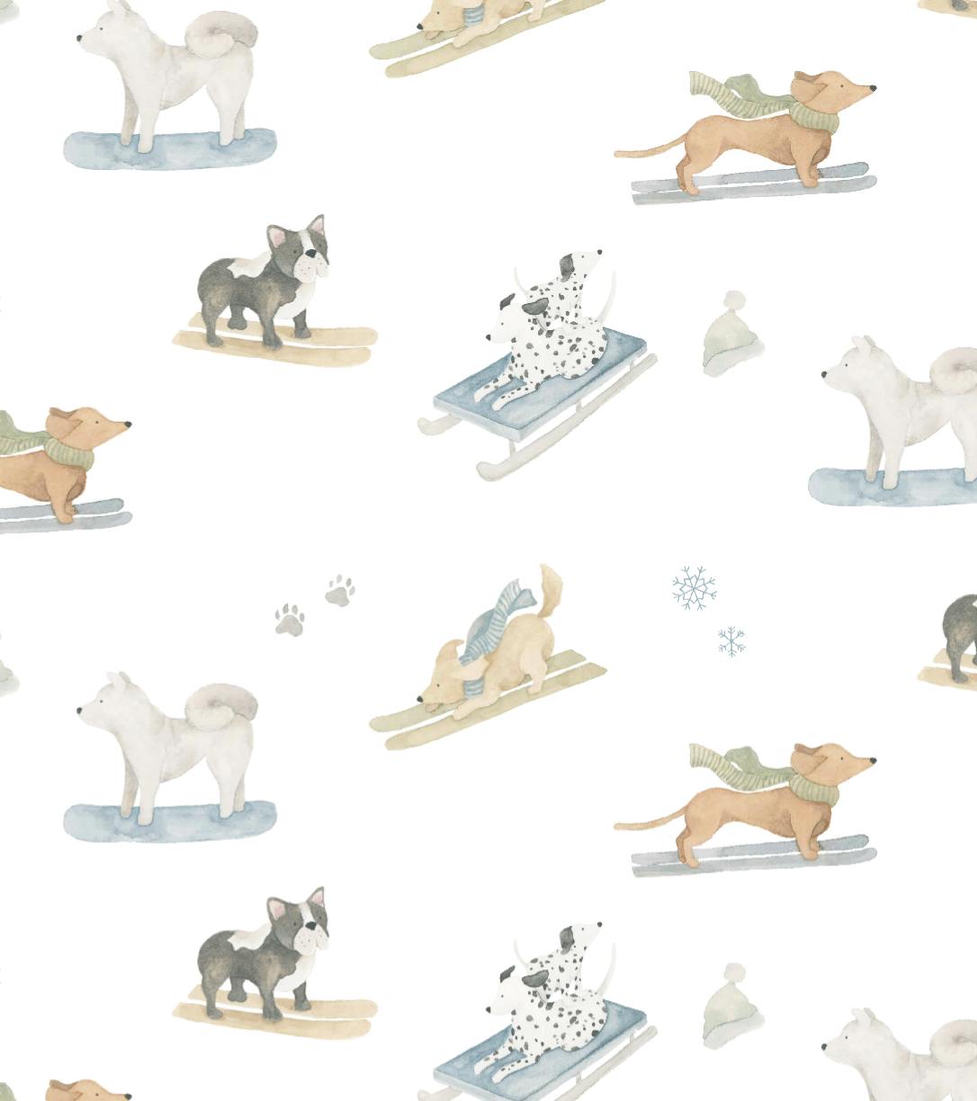 Ski Pups Boy Pima Cotton Baby Blanket