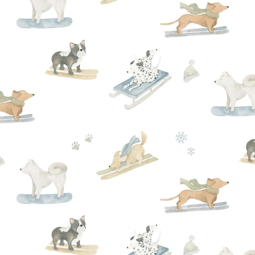 Ski Pups Boy Pima Hooded Towel