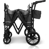 Pull & Push Double Stroller Wagon 2 Seater
