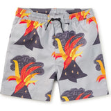 Mid-Length Swim Trunks, Grey