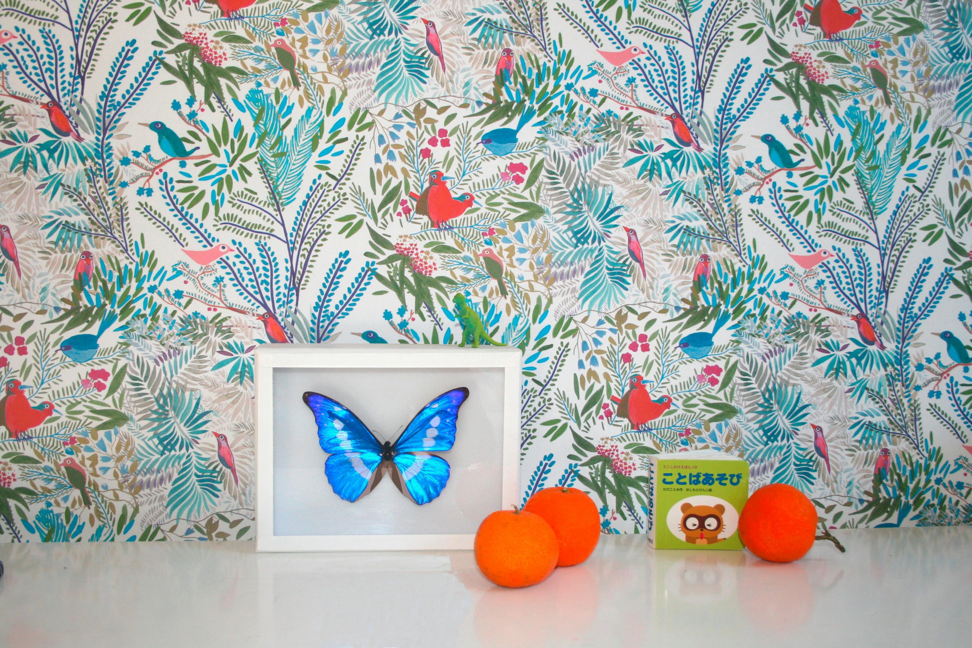 Papier peint JAZZ coloris Mousse