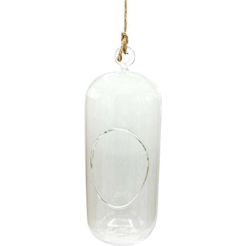 Glass Terrarium: Carefree Capsule