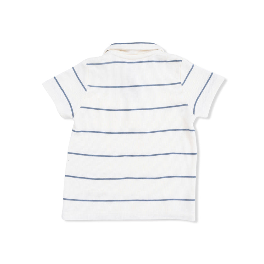 Vintage Stripe - Polo with Casual Short