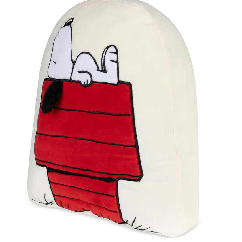 Pillow Peanuts Doghouse