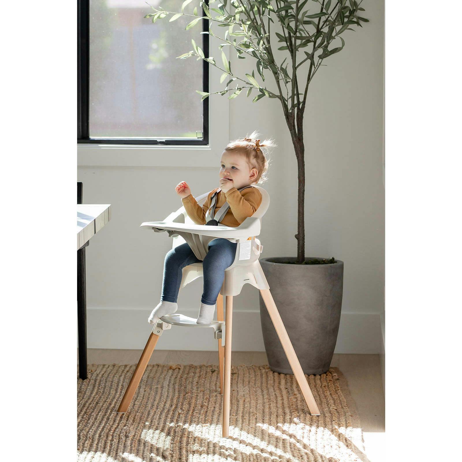 Terra 2-in-1 High Chair & Booster