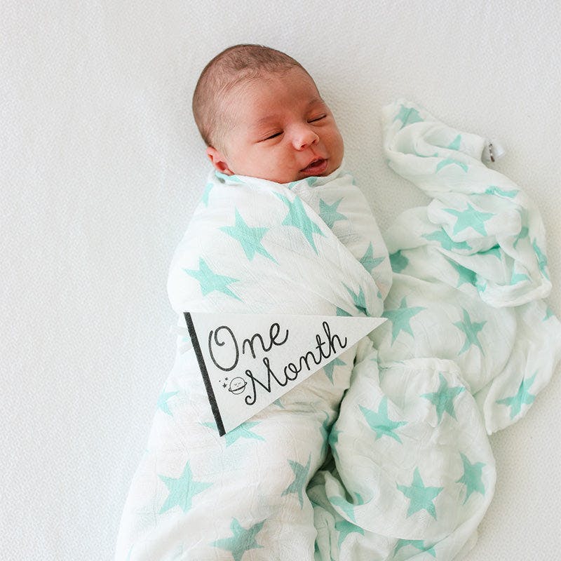 Little Stargazer Petit Milestone Pennant