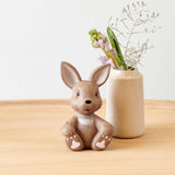 Nøk Hare