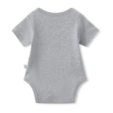 Baby Bodysuit 2-Pack - Grey