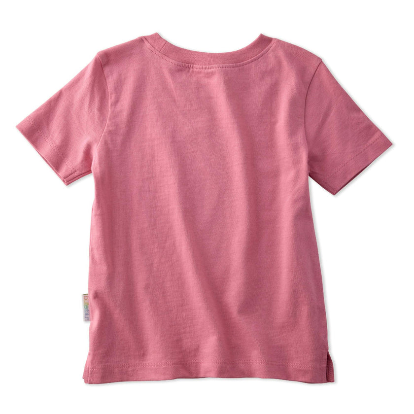 TAYLOR 10-Pack Toddler Short Sleeve T-Shirts