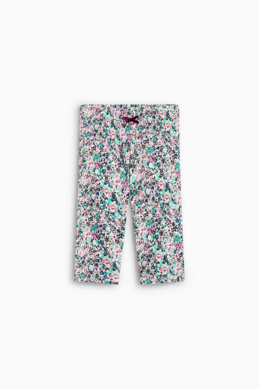TNS Logo Rib Baby Legging Special Ashby Print