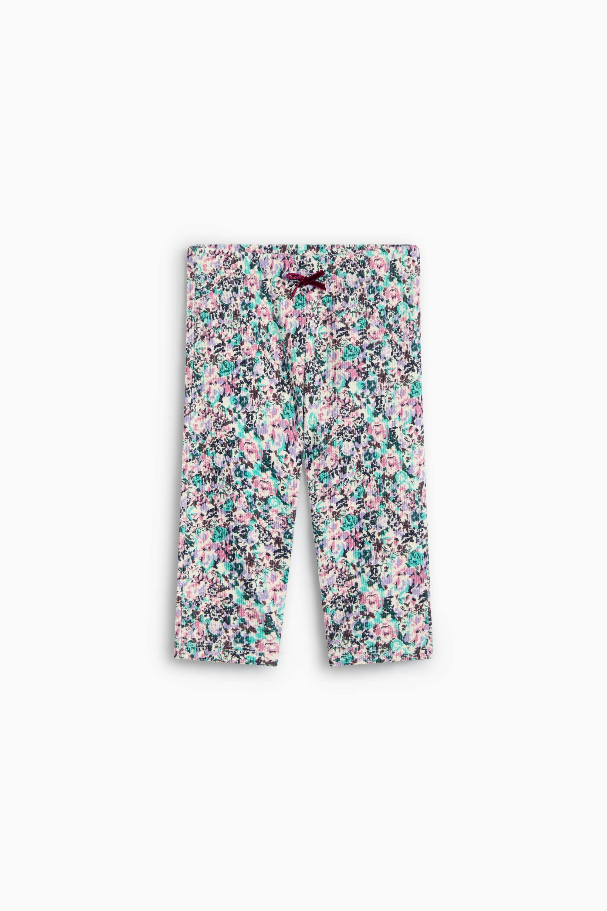 TNS Logo Rib Baby Legging Special Ashby Print