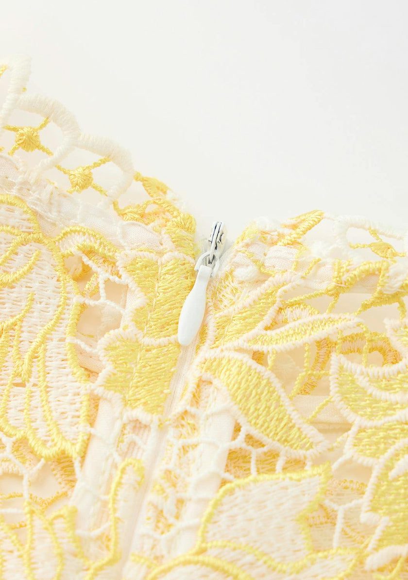 Cassandra Embroidered Mini Dress