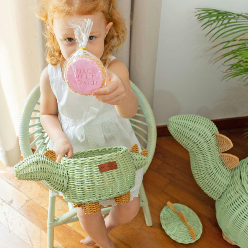 Handcrafted - Dinosaur Storage Basket Mint Green (Small) - Rattan Wicker