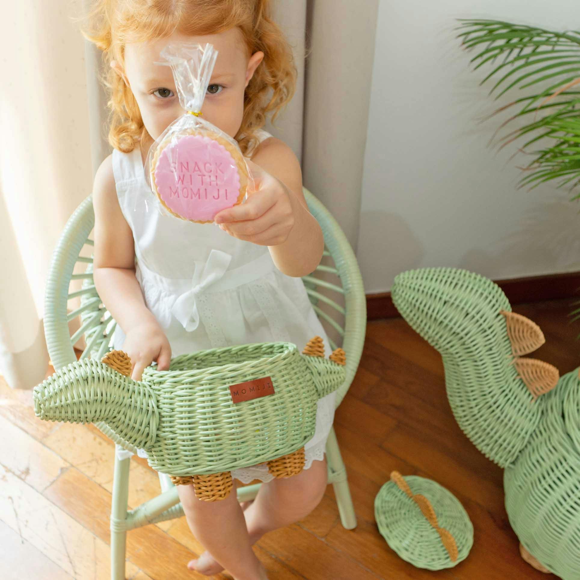 Handcrafted - Dinosaur Storage Basket Mint Green (Small) - Rattan Wicker