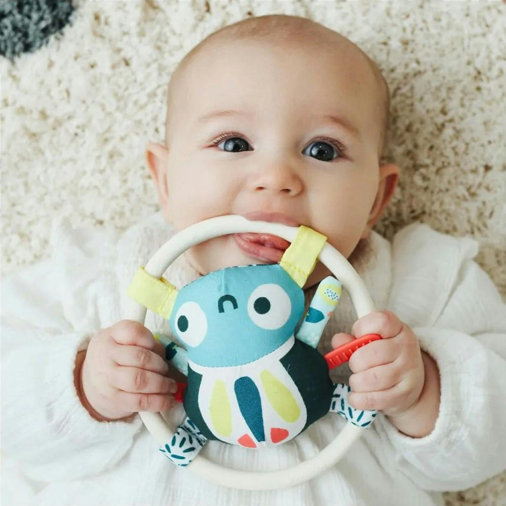Feel to Learn: Spider rattle