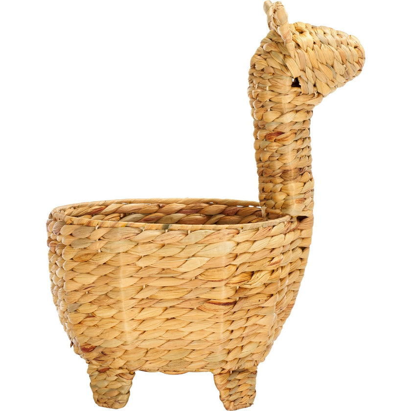 Auroris Basket