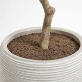 Artificial Olive Topiary Tree with Mediterranean Pot