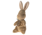 My first bunny - Brown