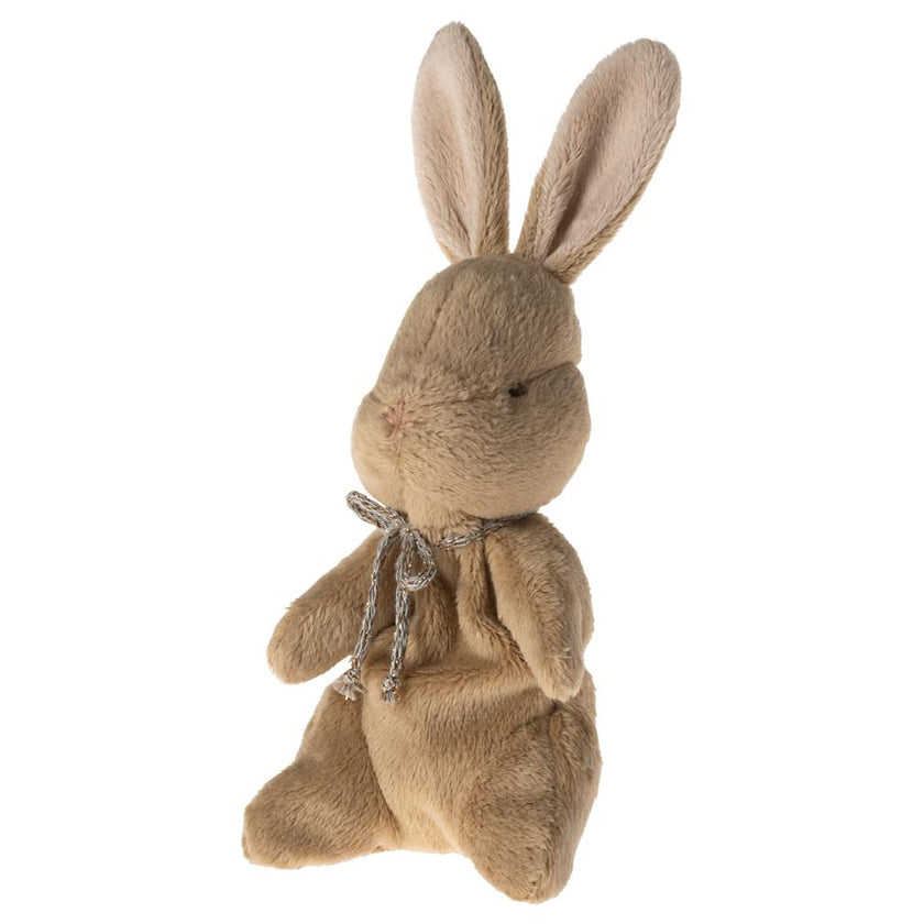 My first bunny - Brown