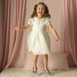 Organza Pintuck Dress