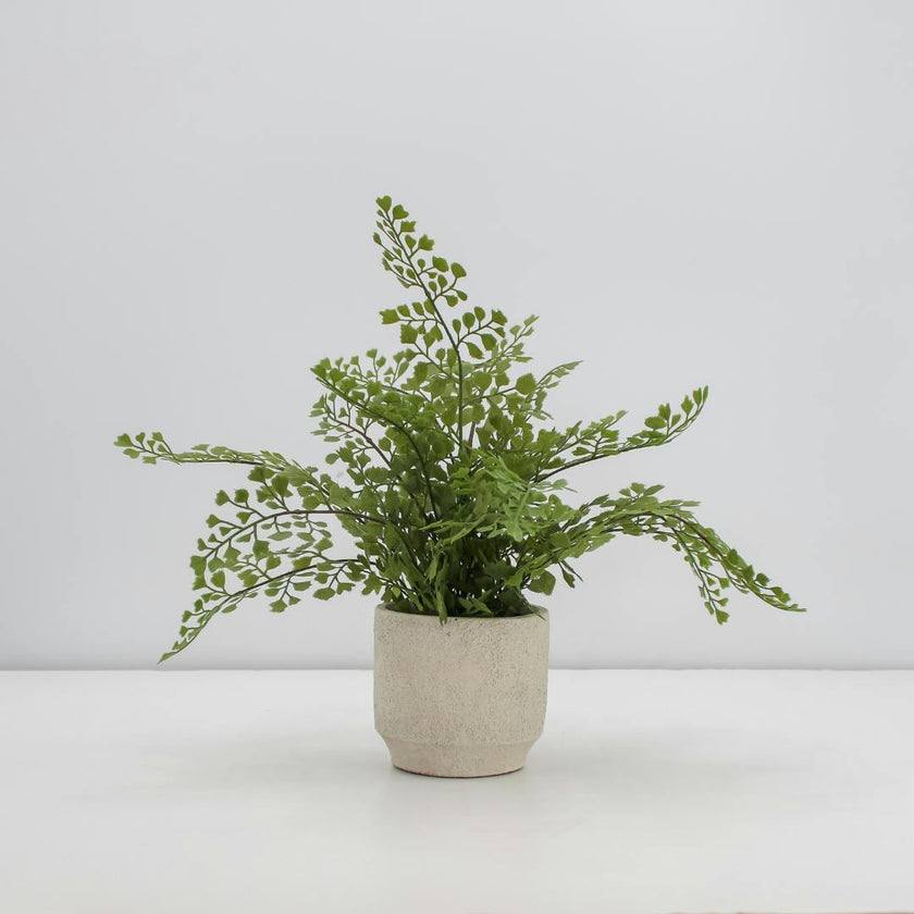 16" Faux Snake Plant & Fern Set