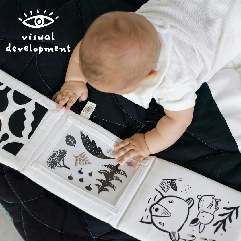 Developmental Bundle for Baby - Safari