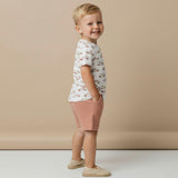 Organic Tee & Shorts Set - Cars