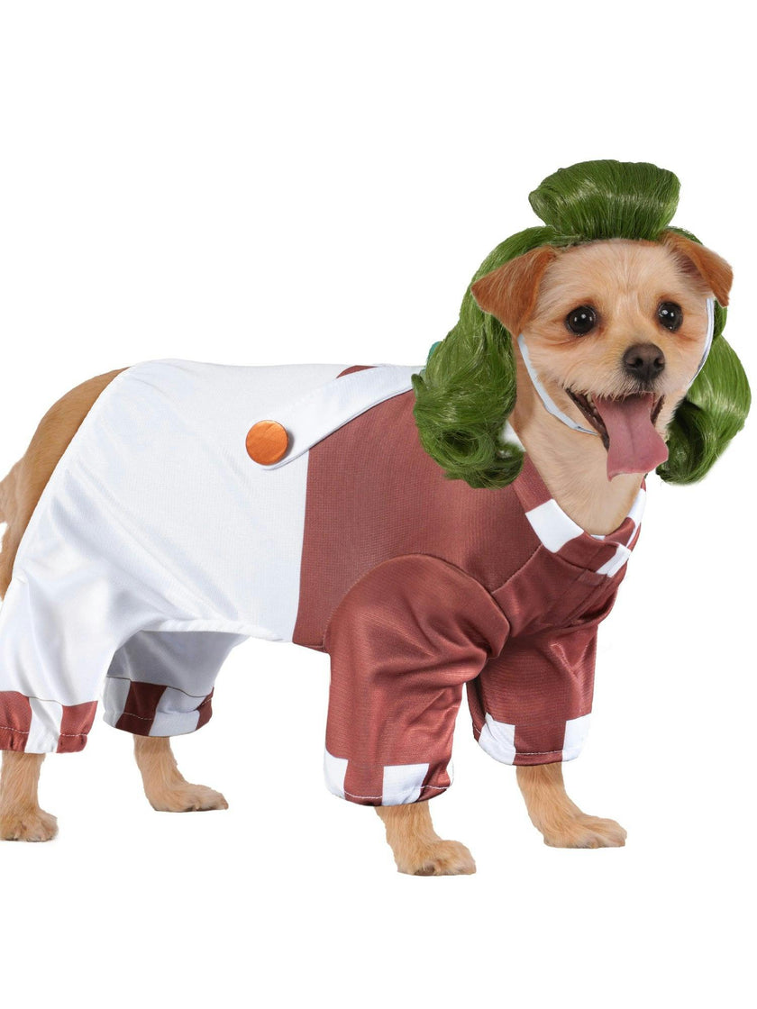 Willy Wonka Oompa Loompa Pet Costume
