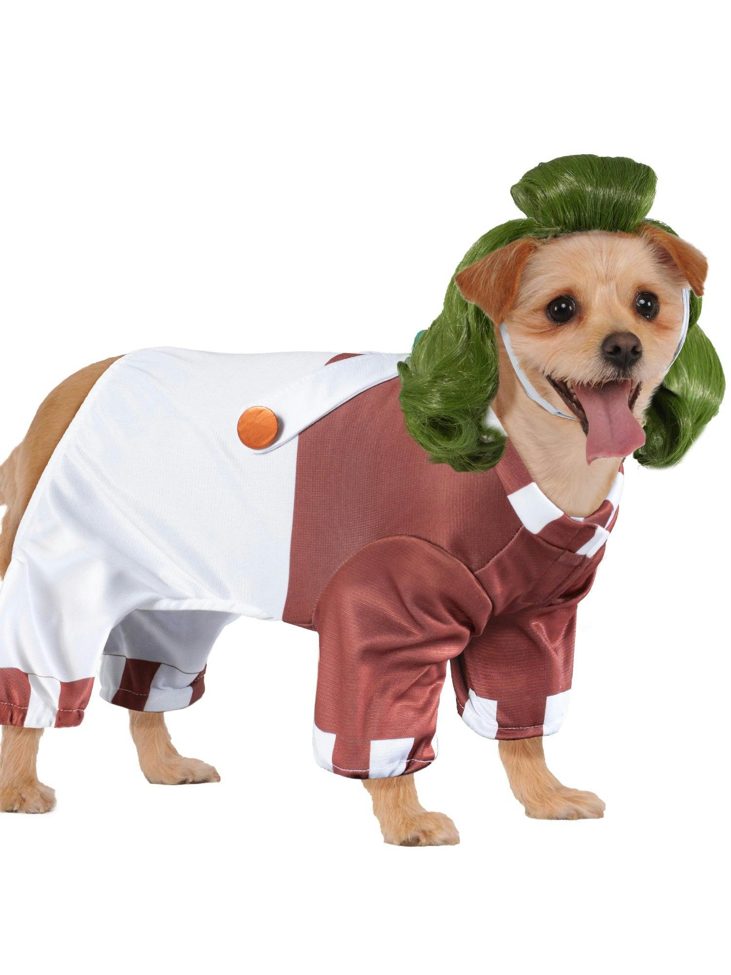 Willy Wonka Oompa Loompa Pet Costume