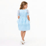 Sky Petal Princess Ruffle Blue Birthday Dress for Girls