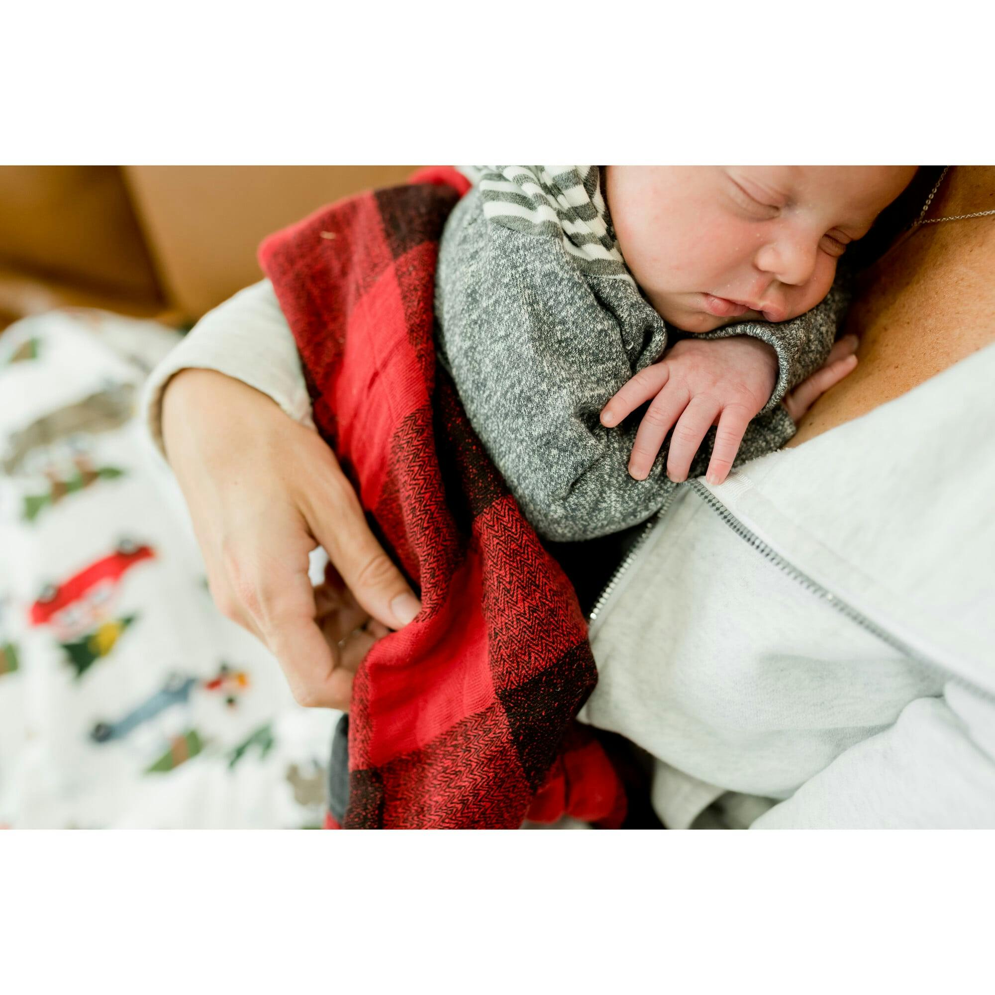 Cotton Muslin Quilted Throw - Holiday Haul