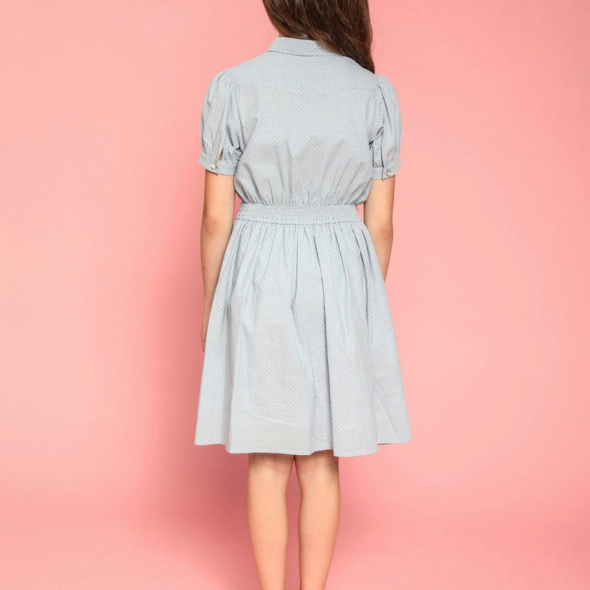 Ariel (blue stripe)