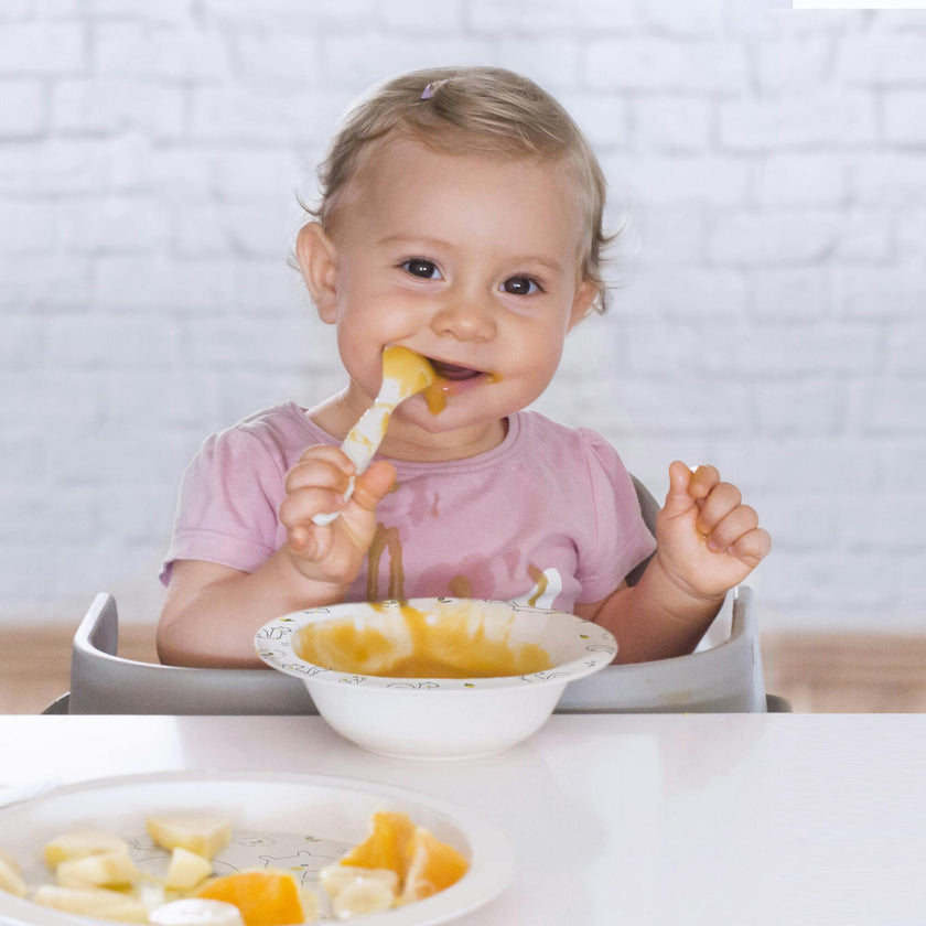 Naturmeal Chip