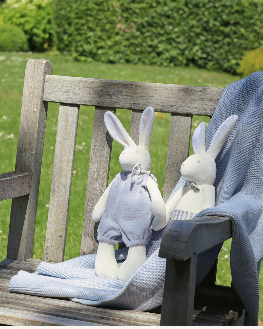 Josephine the Rabbit