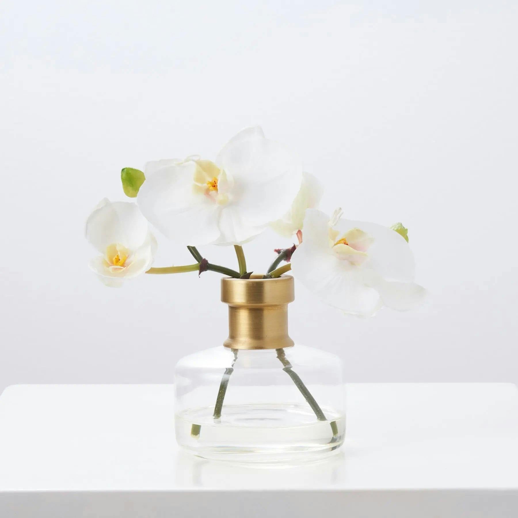 White Orchid Blooms in Rimmed Bottle Vase