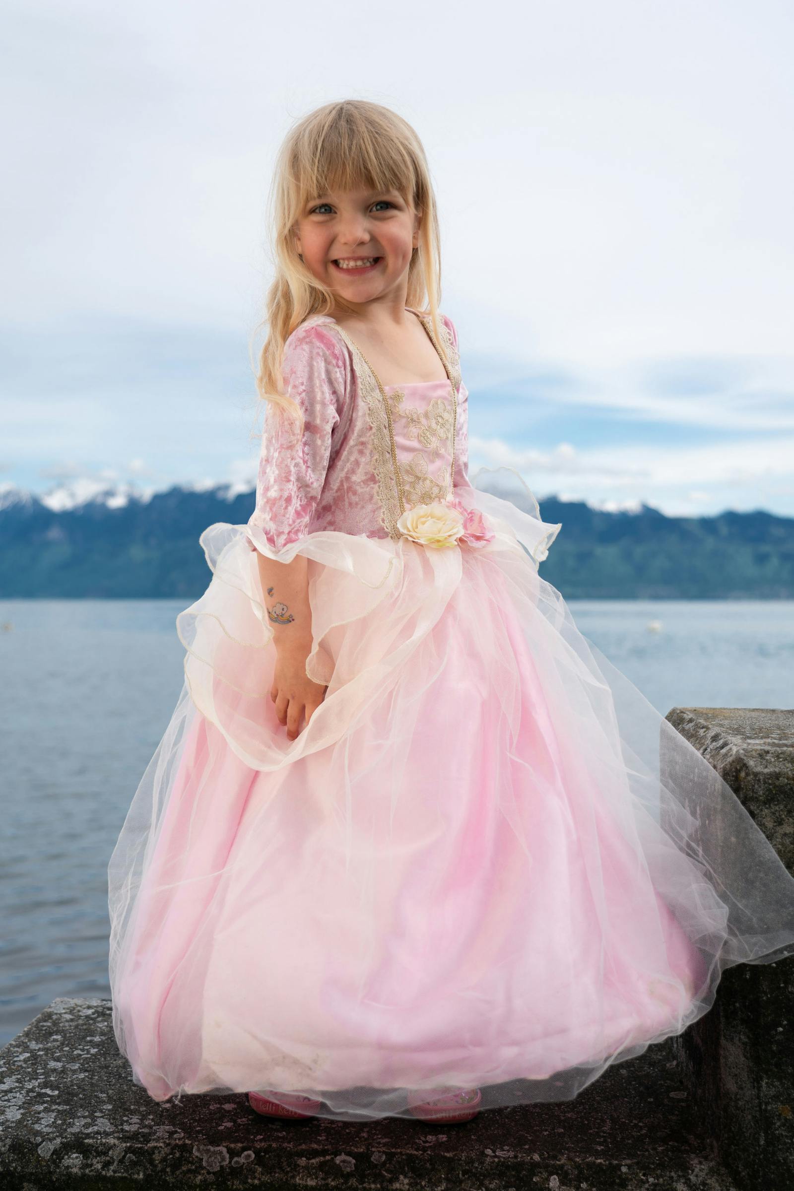 Rose Princess Dress