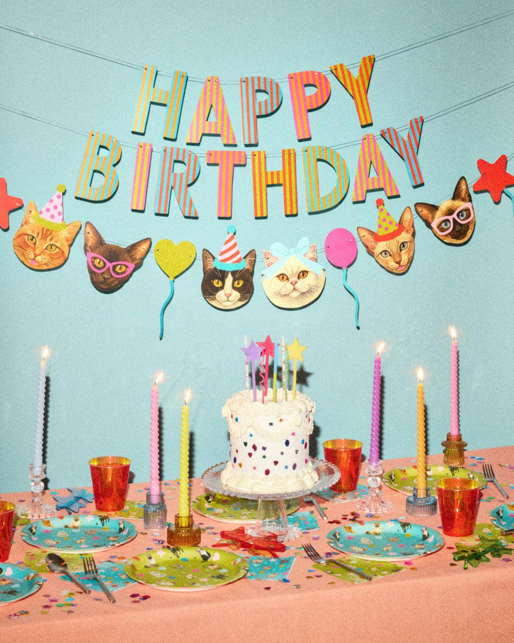 Crazy Cat Banner - really fun party banner