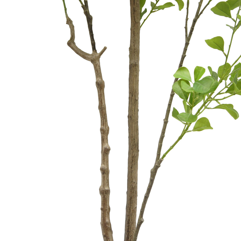 7' Artificial Heart Ficus Tree