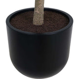 7' Faux Potted Money Tree