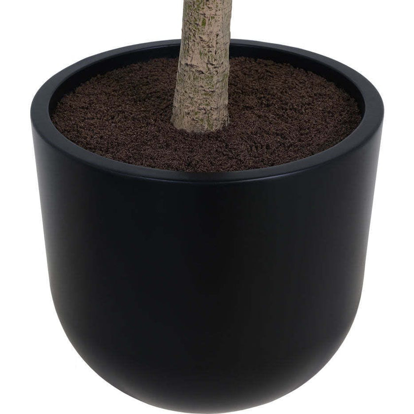 7' Faux Potted Money Tree