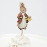 Peter Rabbit™ & Friends Party Picks
