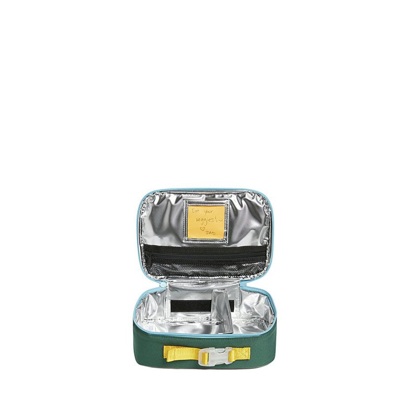 Rodgers Lunch Box, Dino Fossils
