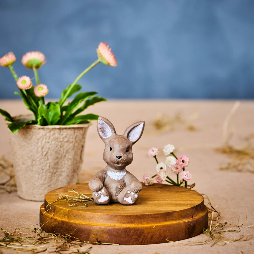 Nøk Hare