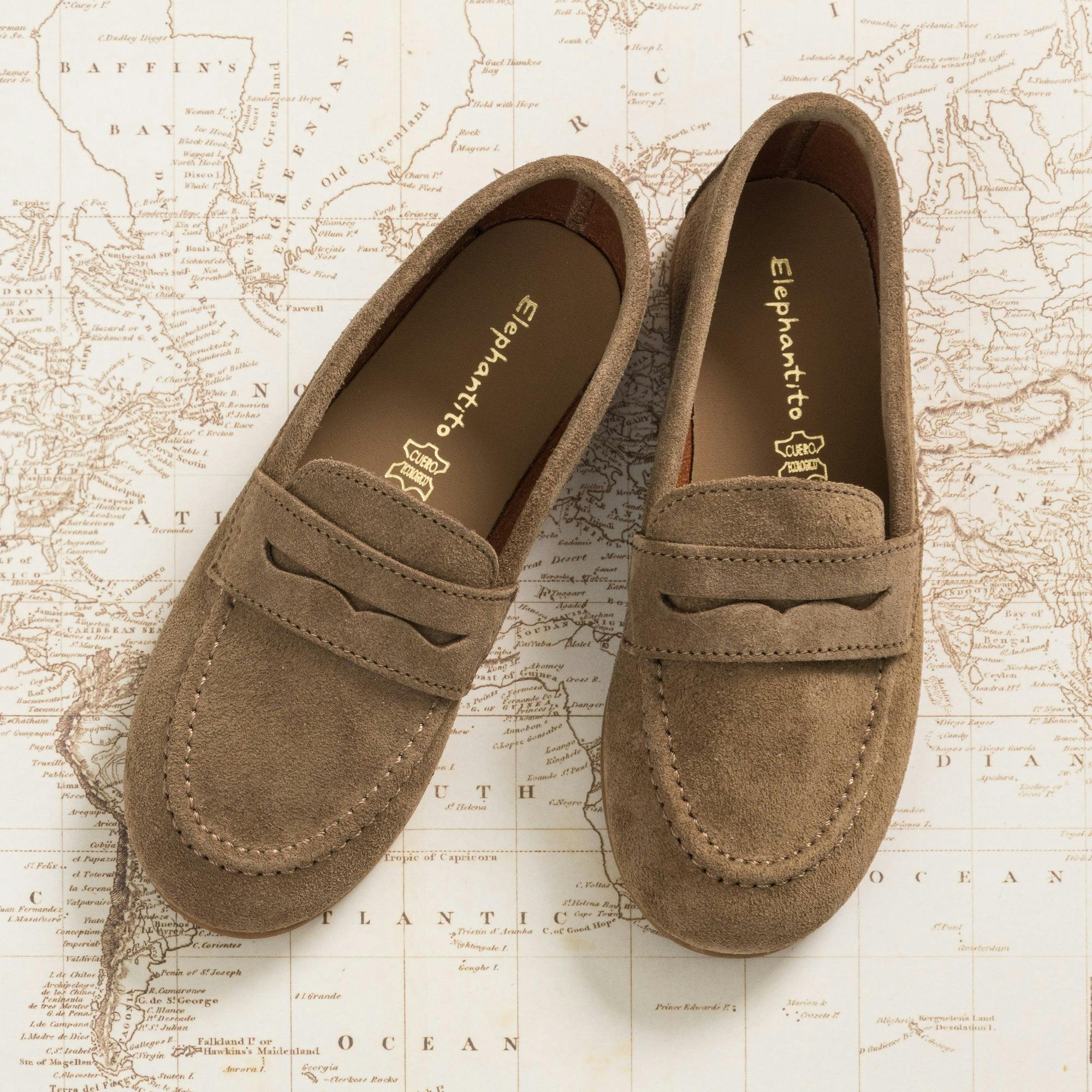 Suede Penny Loafer