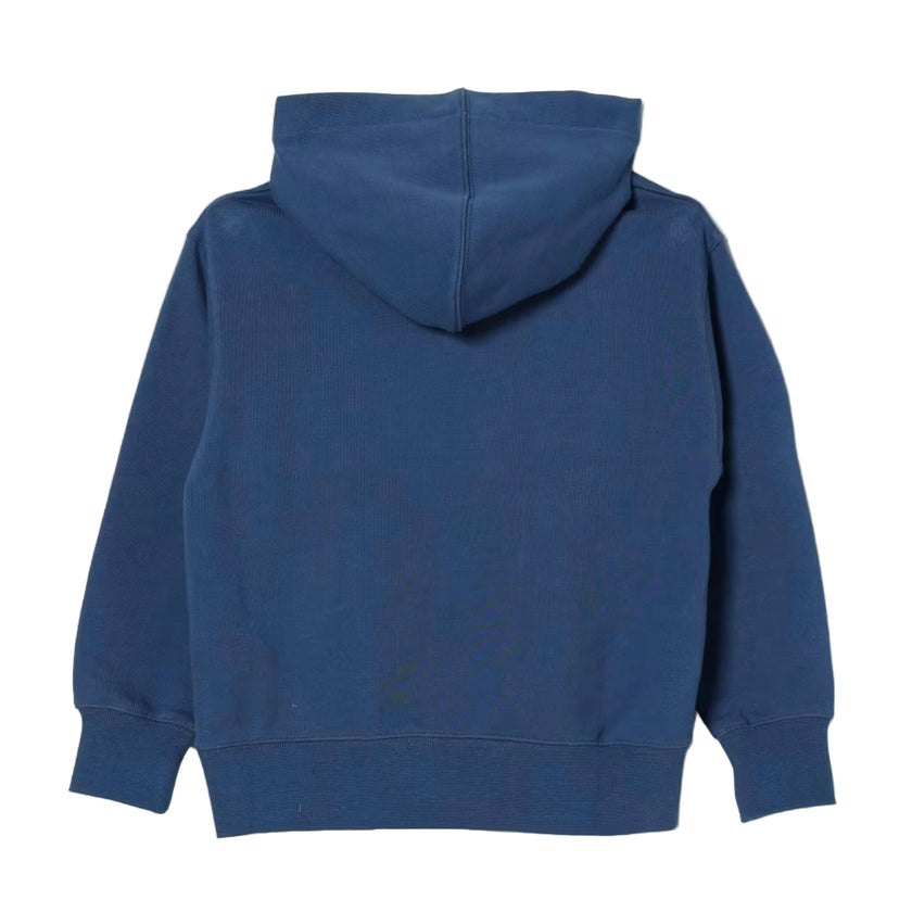 Blue Bear Hoodie