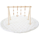 Play Gym Set