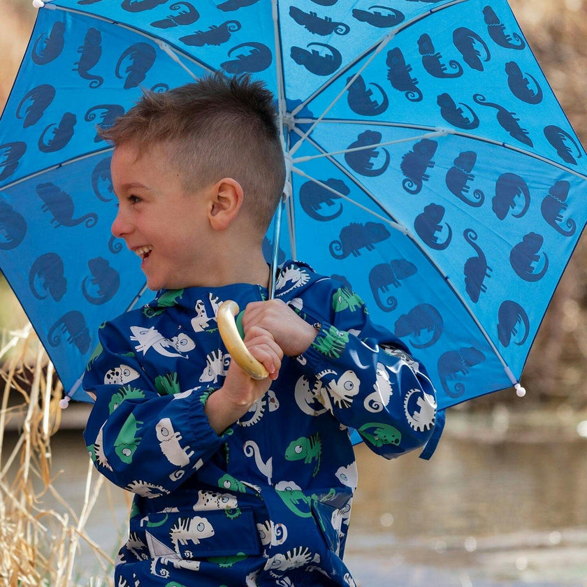 Color-Changing Umbrella