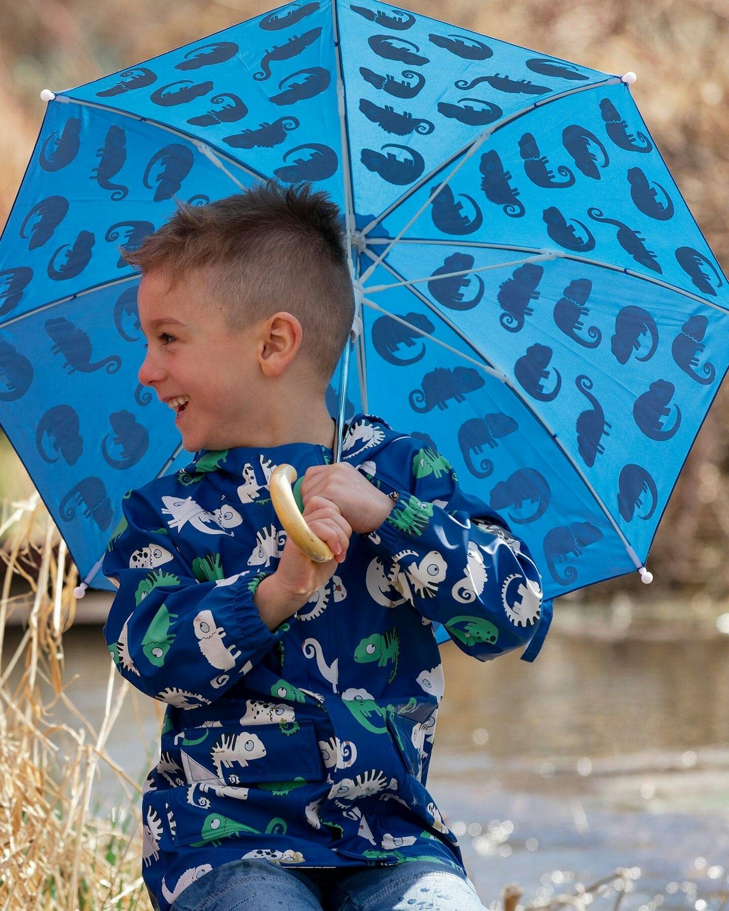 Color-Changing Umbrella