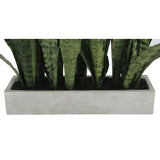 Rectangular Snake Plant Arrangement in Gray Pot